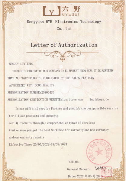 6YE Doll partner document for Lucidtoys