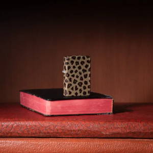 Lifestyle image of Leopard Print 540 Color Windproof Lighter standing in a book shelf on books