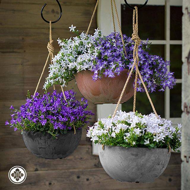 Planters and Pots: What's the Difference? – Root & Vessel