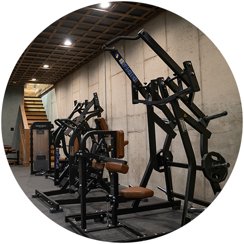 Plate-loaded equipment in Don Saladino's home gym