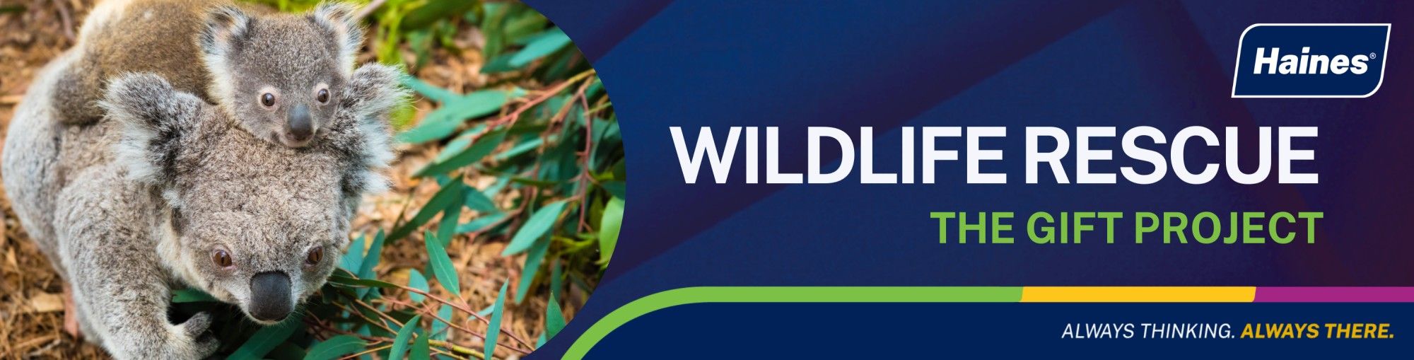 Wildlife Rescue - The Gift Project