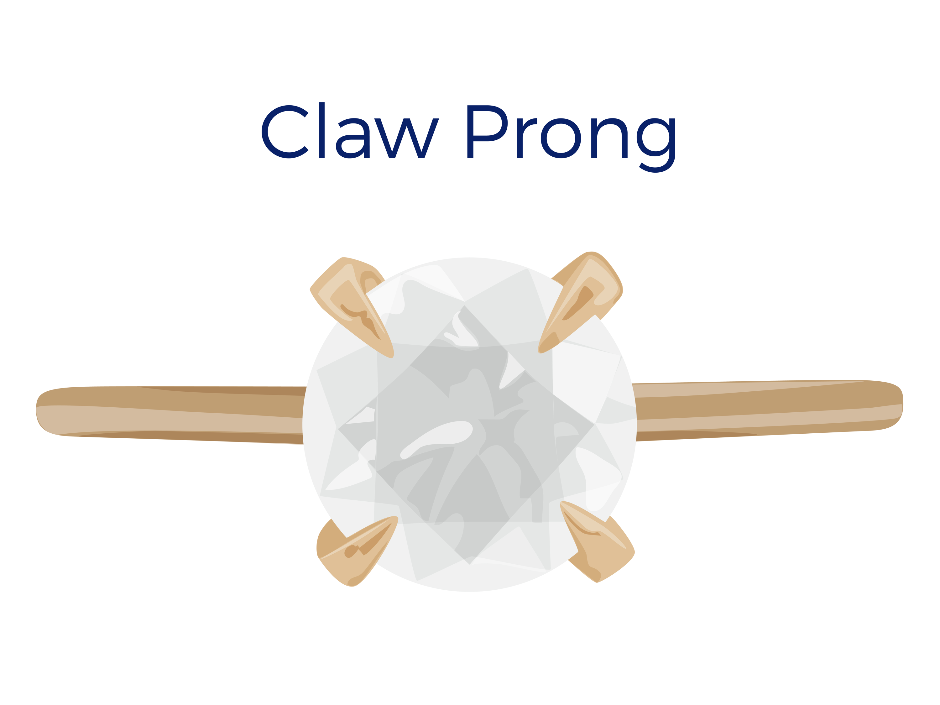 claw-prong