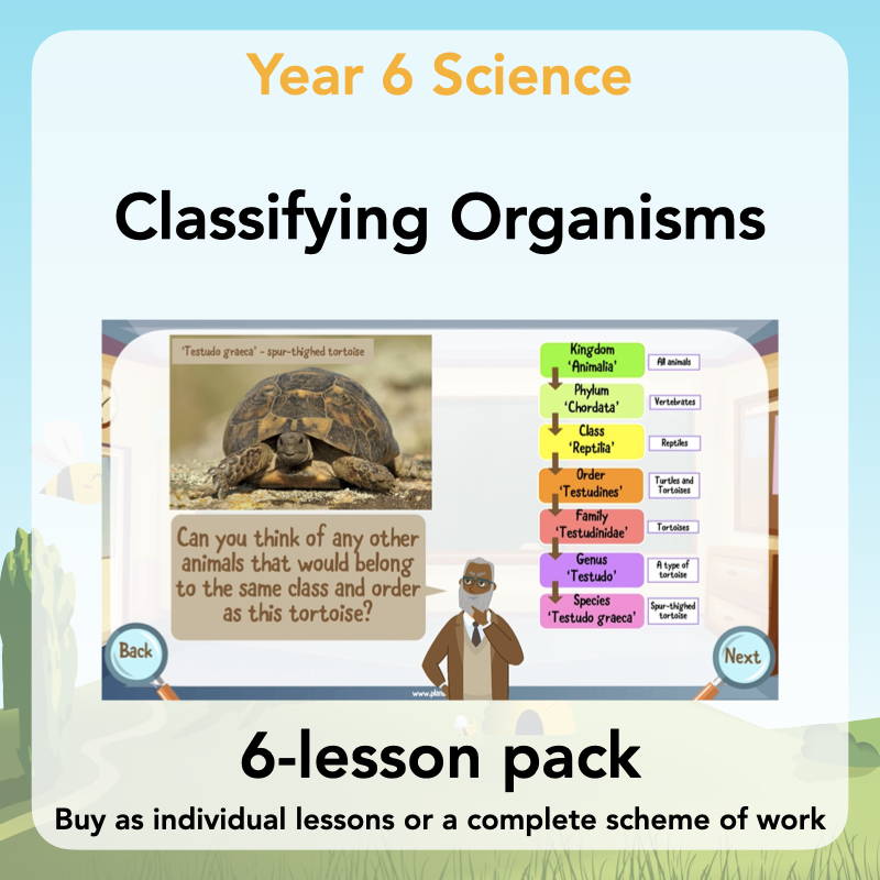 Year 6 Science Curriculum - Classifying Organisms