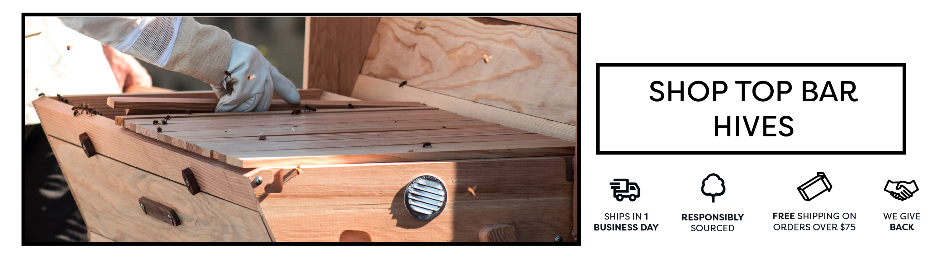 Top bar hives and top-bar beekeeping supplies for sale. Made from FSC certified, sustainable, sugar pine, douglas fir, or western red cedar. 