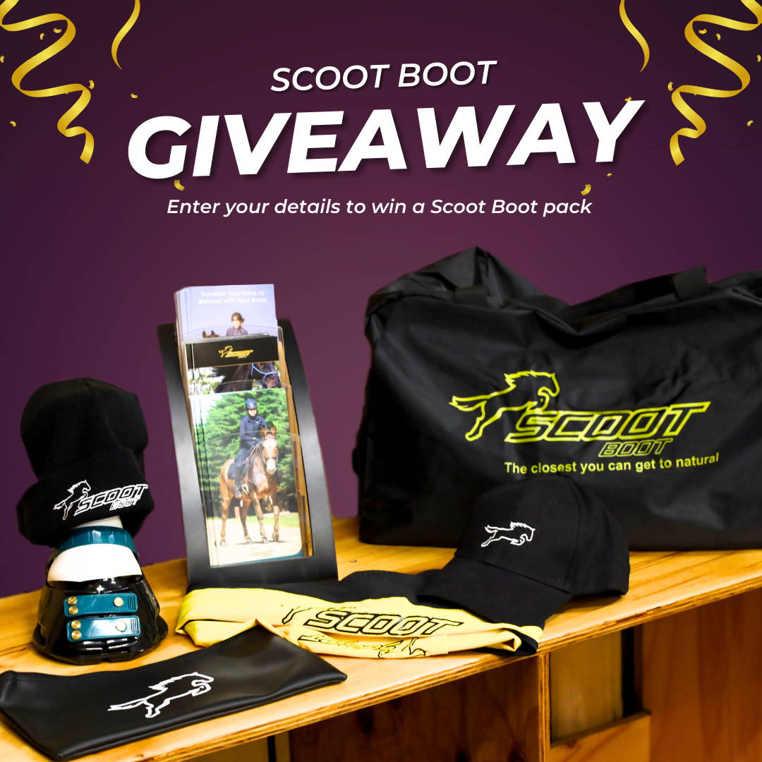 Scootboots hoof boot giveaway for barefoot horses purple compact
