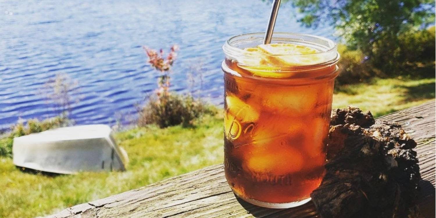 A glass of iced chaga tea next to a chaga conk overlooking a sunny lake scene