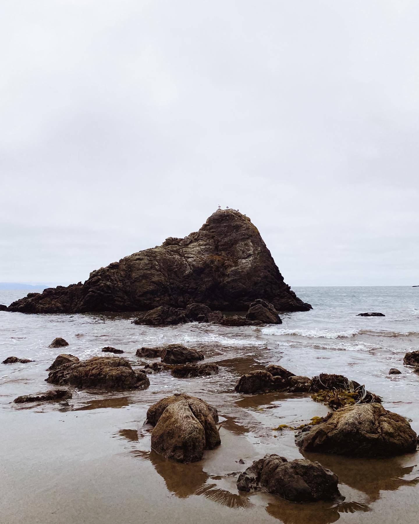 Artist Patricia Vargas visits Muir Beach, CA