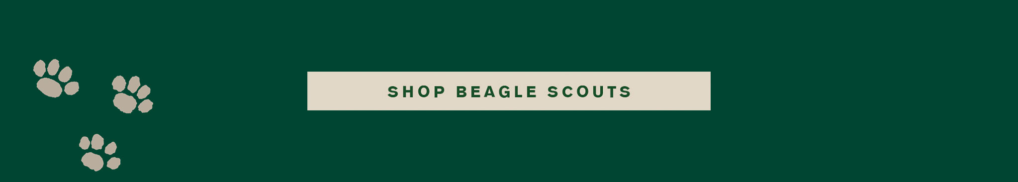 Shop Beagle Scouts