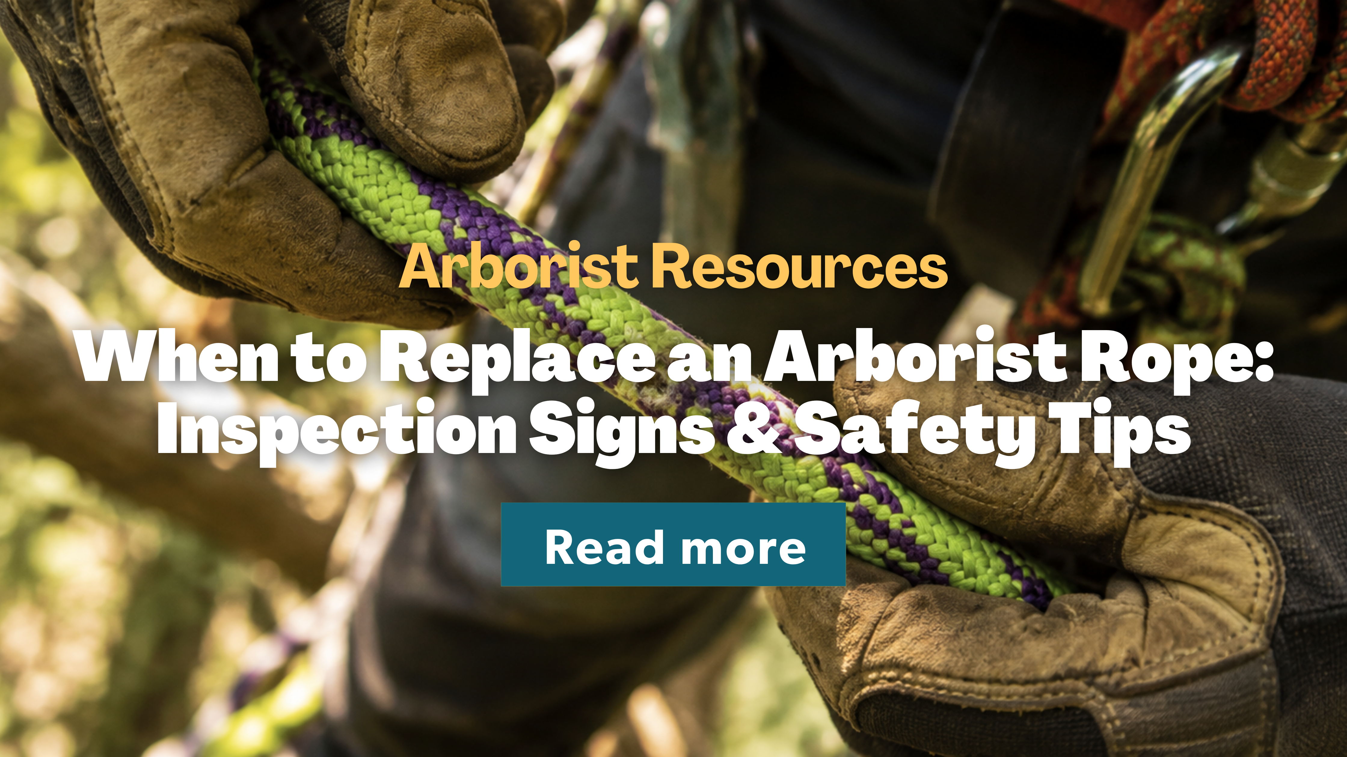 Hands holding an arborist rope with text about replacement and safety tips.