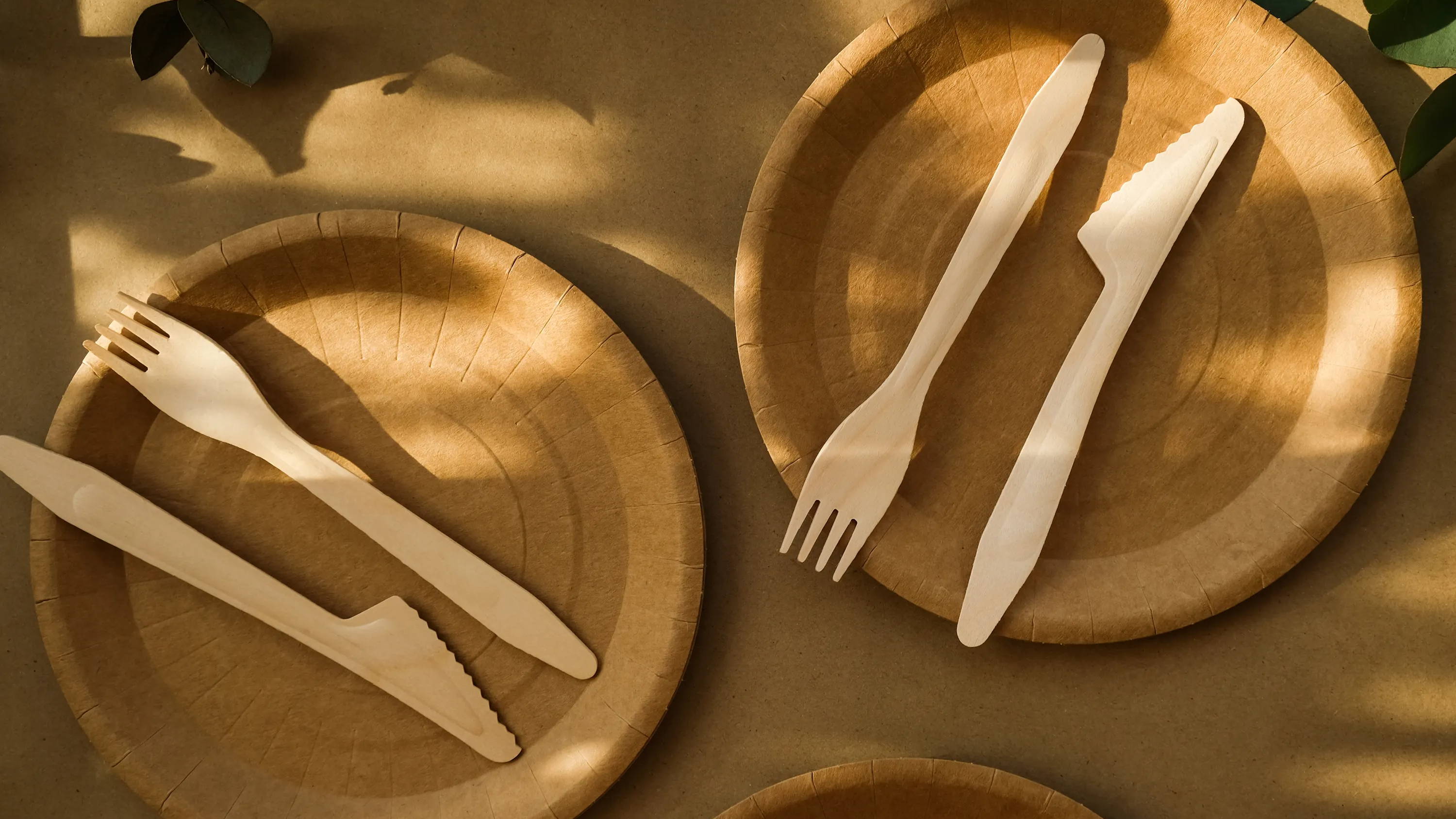 biodegradable plates and cutlery
