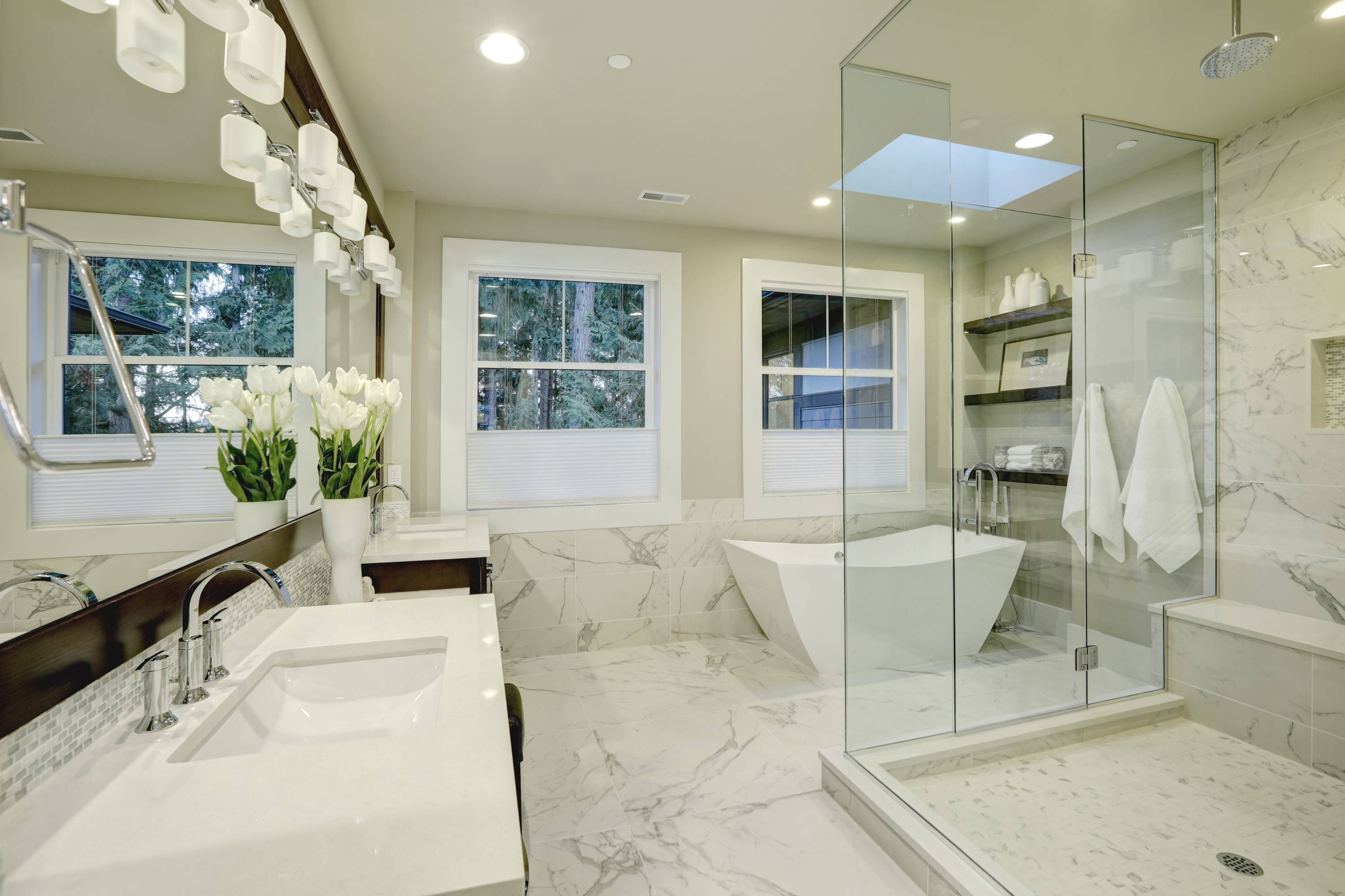 Frameless glass shower doors and vanity mirror