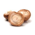 Vitamin B12