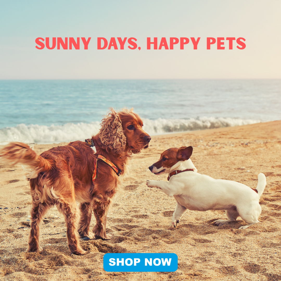 Sunny Days, Happy Pets at Petstop
