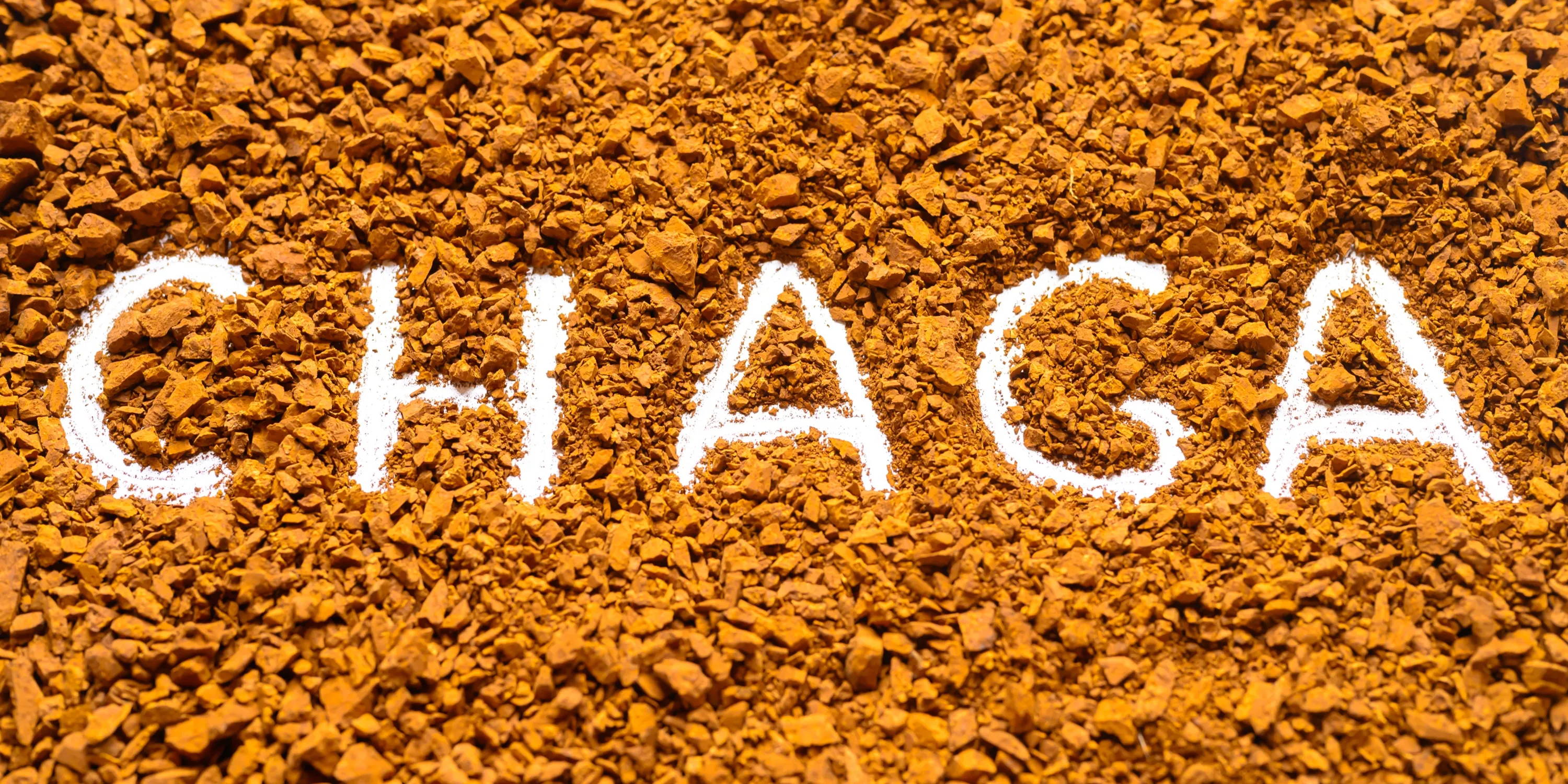 The word chaga drawn into a pile of ground chaga