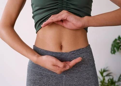 The gut and potential use of berberine hcl to maintain gut health