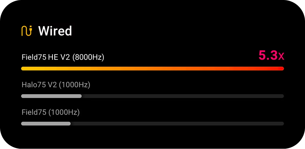Network speed test results for wired connections.
