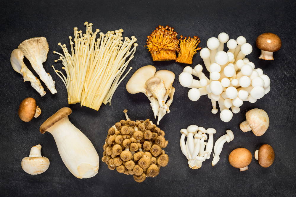 variety of mushroom superfoods on black table|boost your immune system with mushroom superfoods