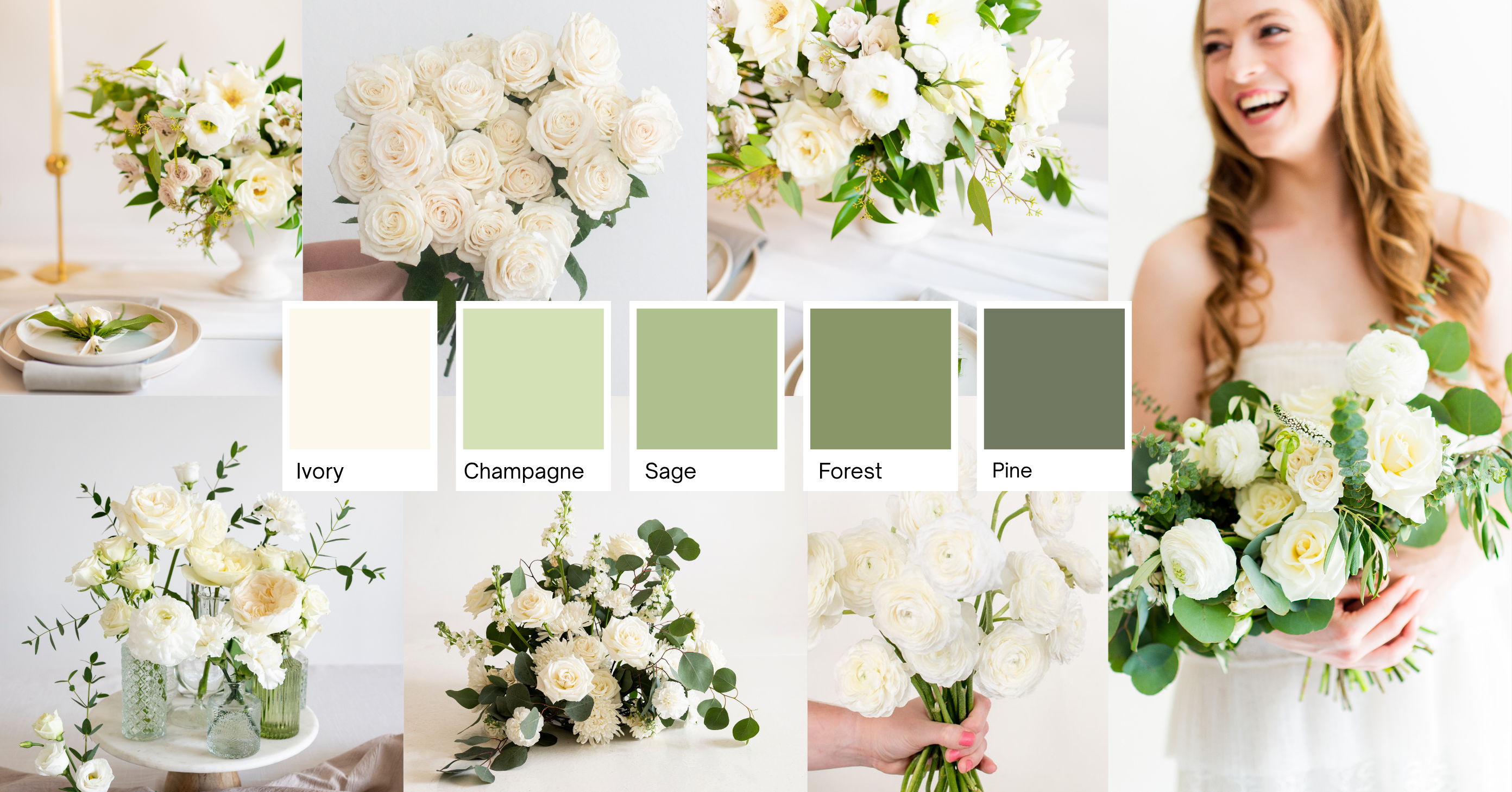 cream and sage
