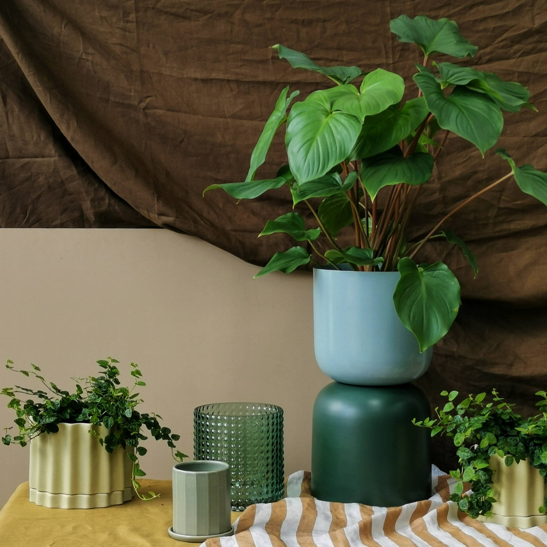 Weekly Styling with Plants I Edition 06 Flourish