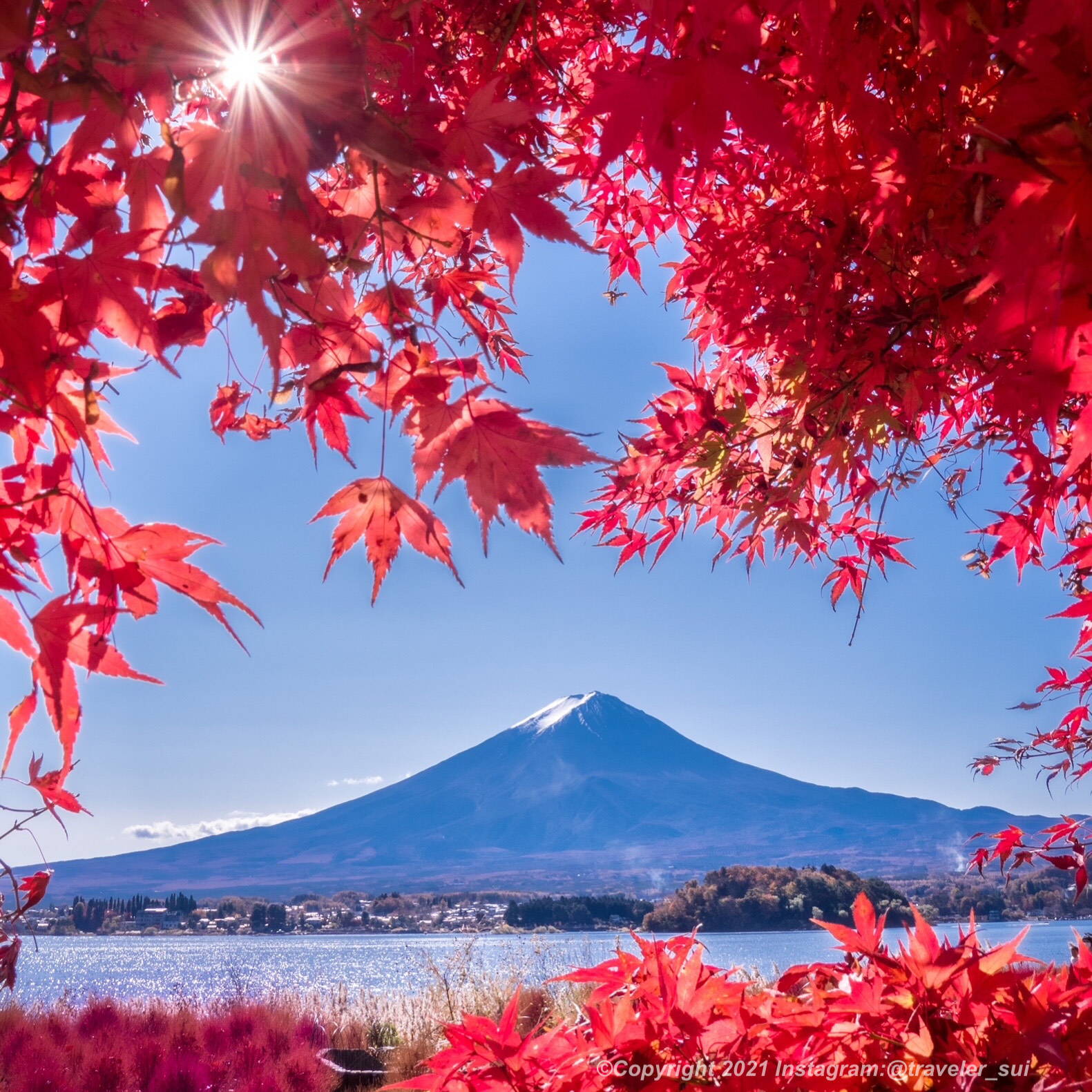 【本州】山梨県南都留郡：河口湖周辺の紅葉と富士山