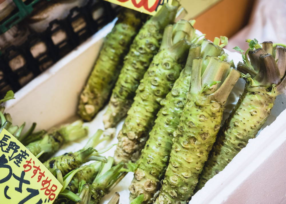 Wasabi for sale, wasabi rhizome