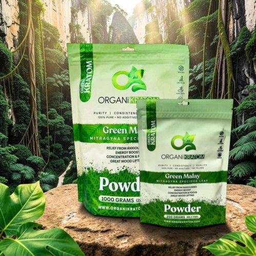 Two packages of organic green powder in a lush forest setting.