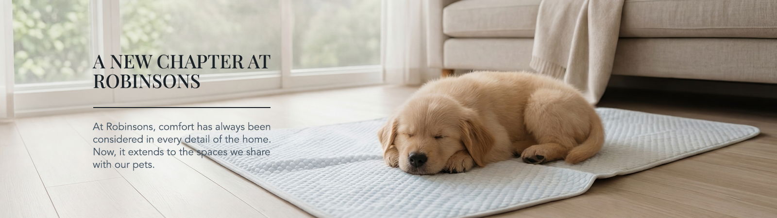 A sleeping golden retriever puppy on a light rug near a couch.