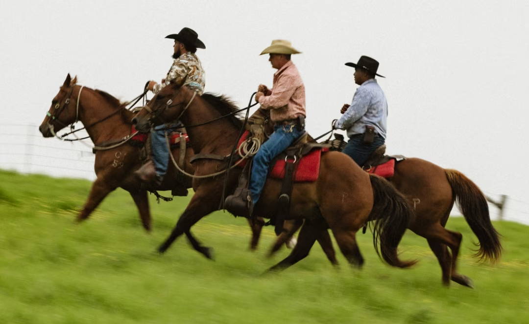 Three cowboys riding horses on a grassy field.