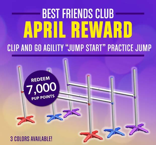 J&J Dog Supplies Best Friends Club Rotating Reward 