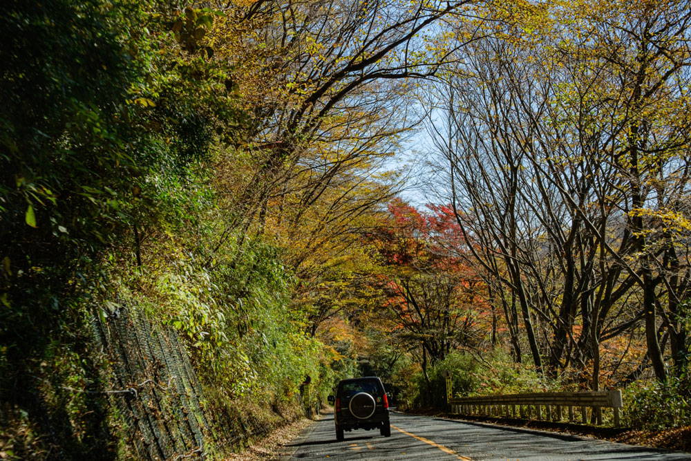 箱根の紅葉おすすめスポット10選！紅葉ドライブをさらに楽しむコツも解説