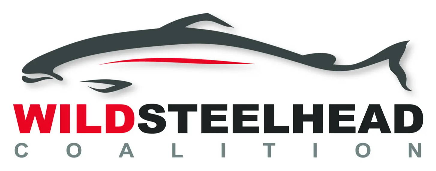 Wild Steelhead Logo