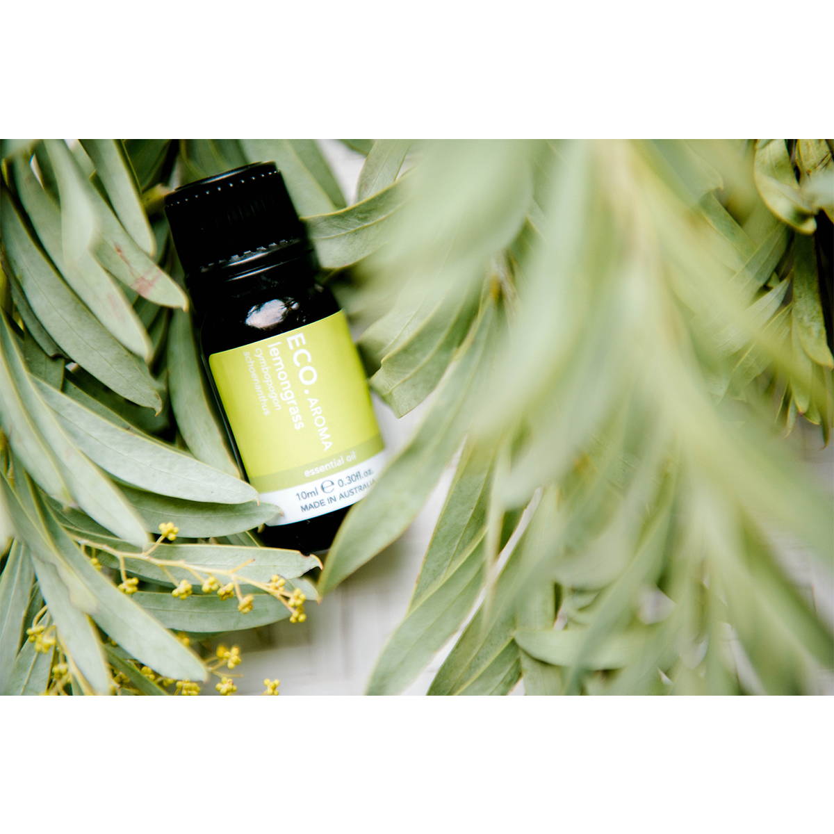 Lemongrass Essential Oil