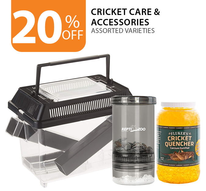20% off Cricket Care & Accessories. 