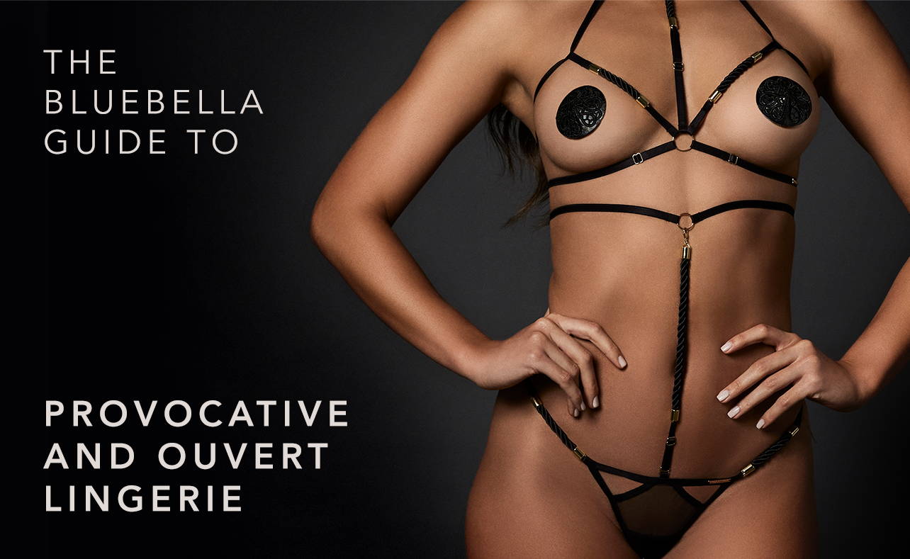 A Beginner's guide to Ouvert & Provocative Lingerie