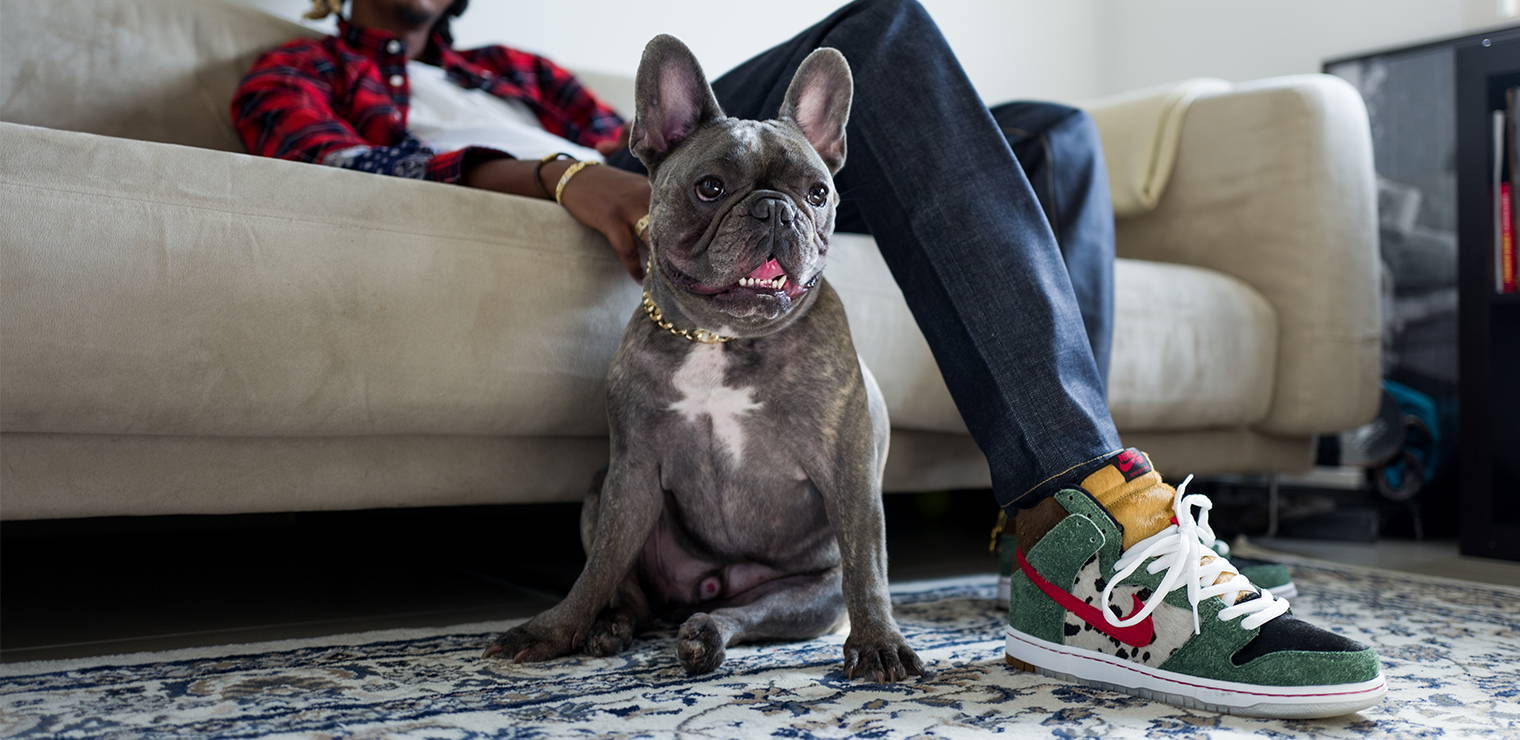 nike sb dunk high pro dog walker