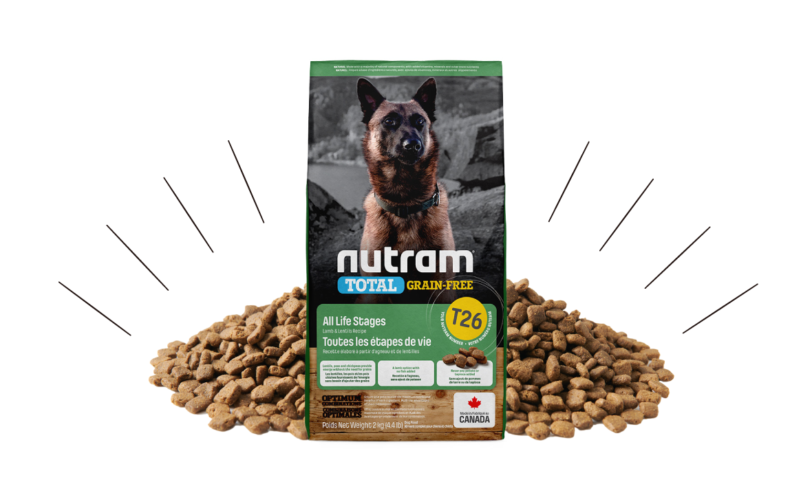 紐頓nutram T26低敏羊肉無穀犬糧 潔牙全齡犬 毛起來 寵你與毛孩多更多 毛起來maoup