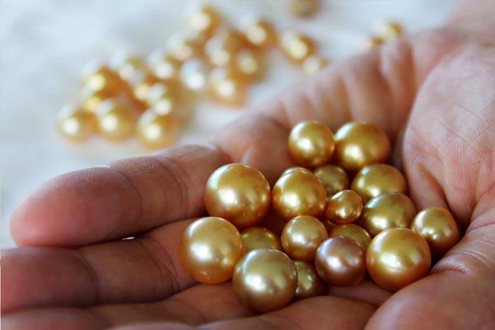 Golden South Sea Pearl Overtones Offer Variety