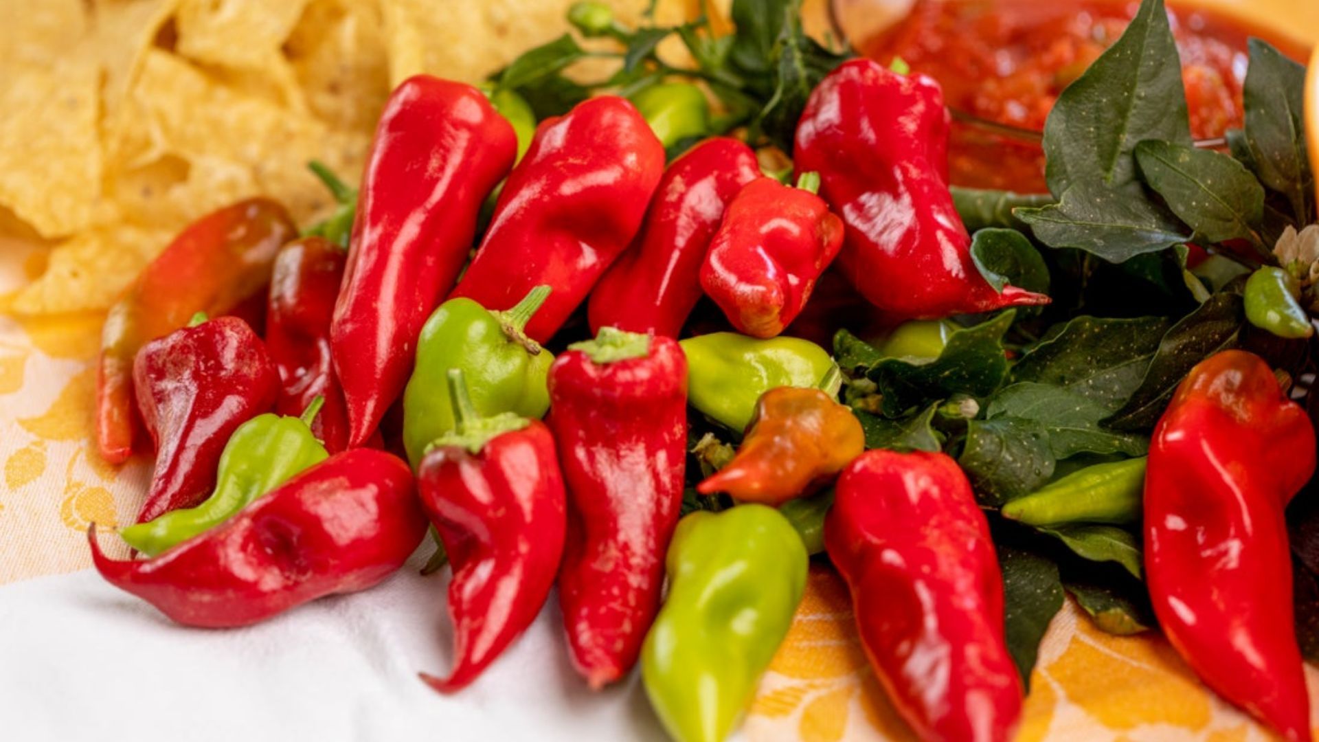 Photo of Goodhearted Tomatoes and Fire Away Hot and Heavy Peppers