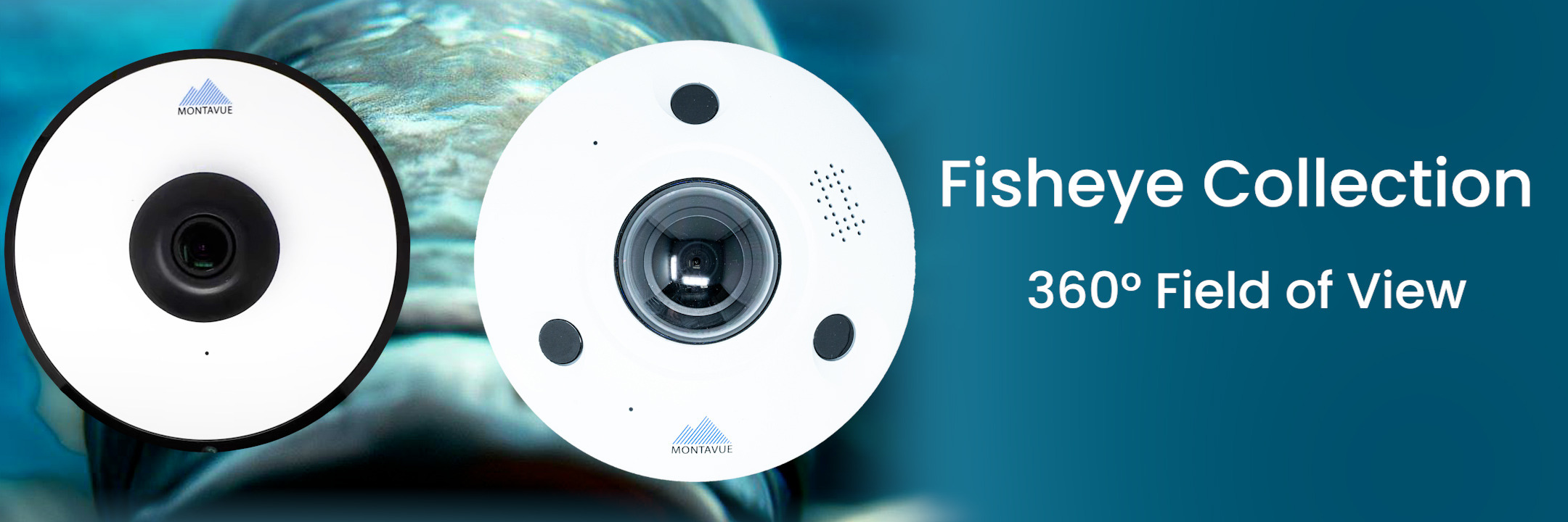 360° field of view fisheye security cameras