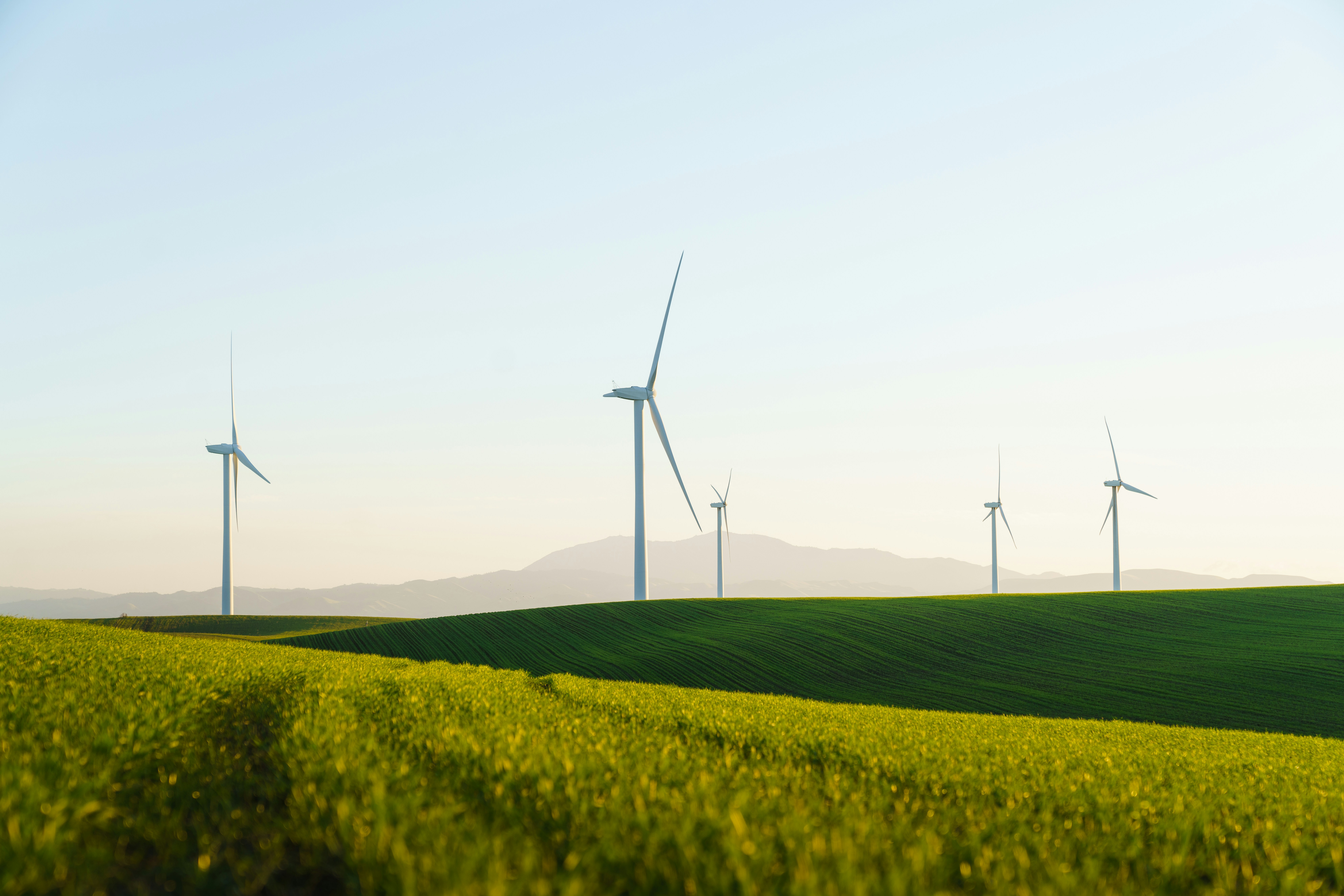 Wind turbines in a green field under a clear sky.