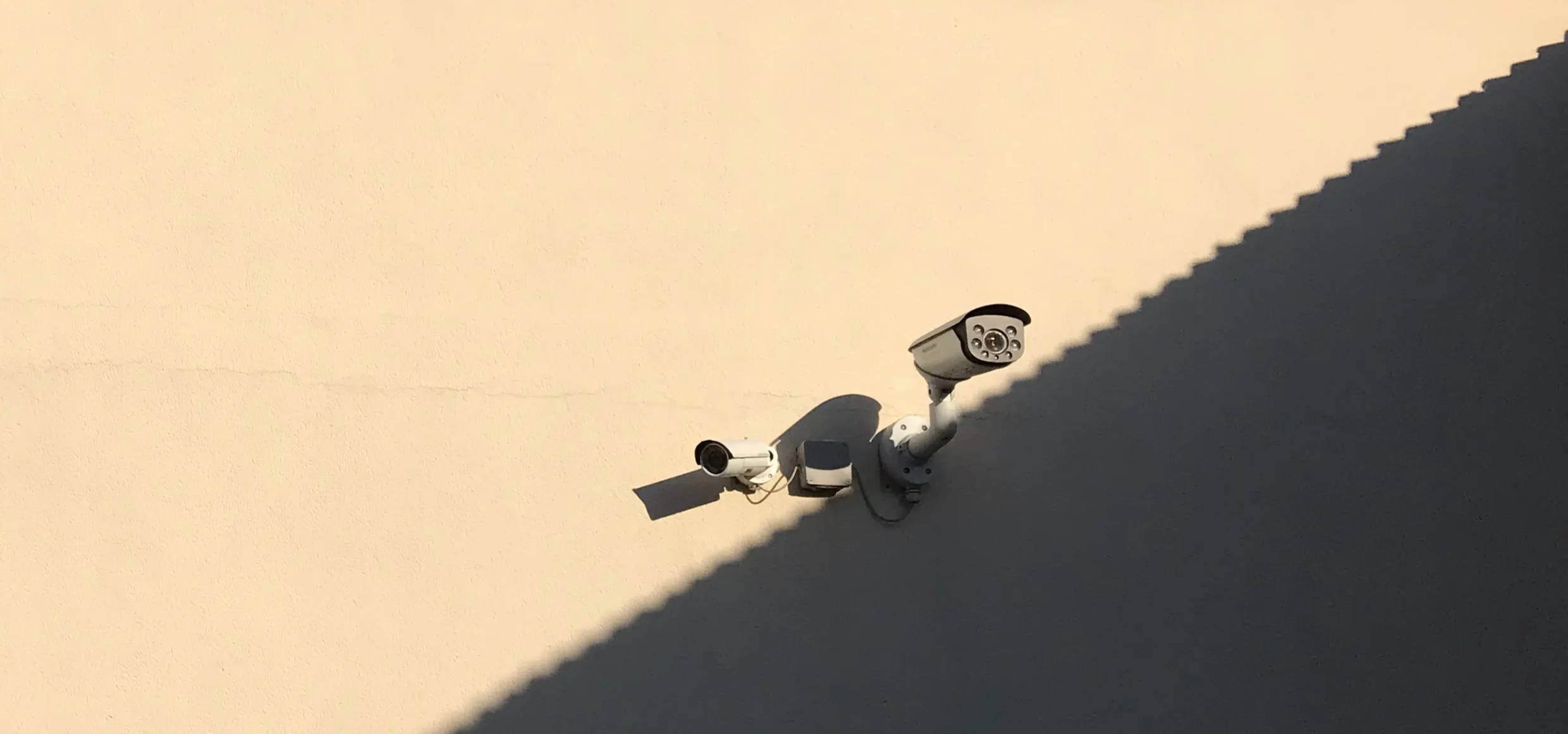 What are the best analog cameras?