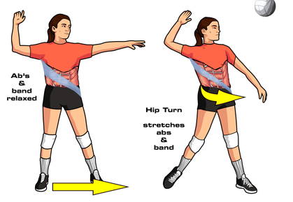 volleyball hitting power with core muscles and fascial sling