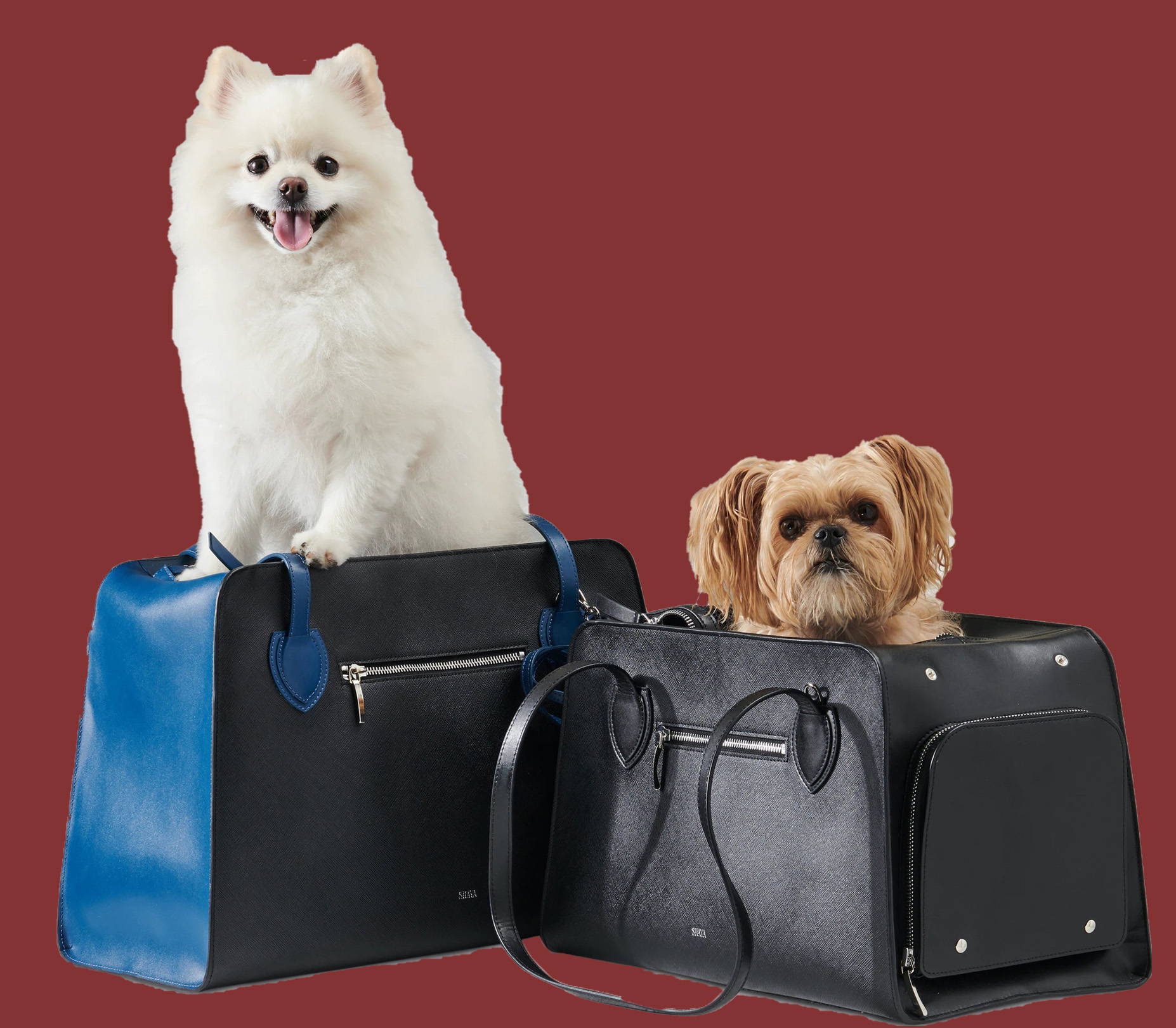 Shaya Pets Carriers