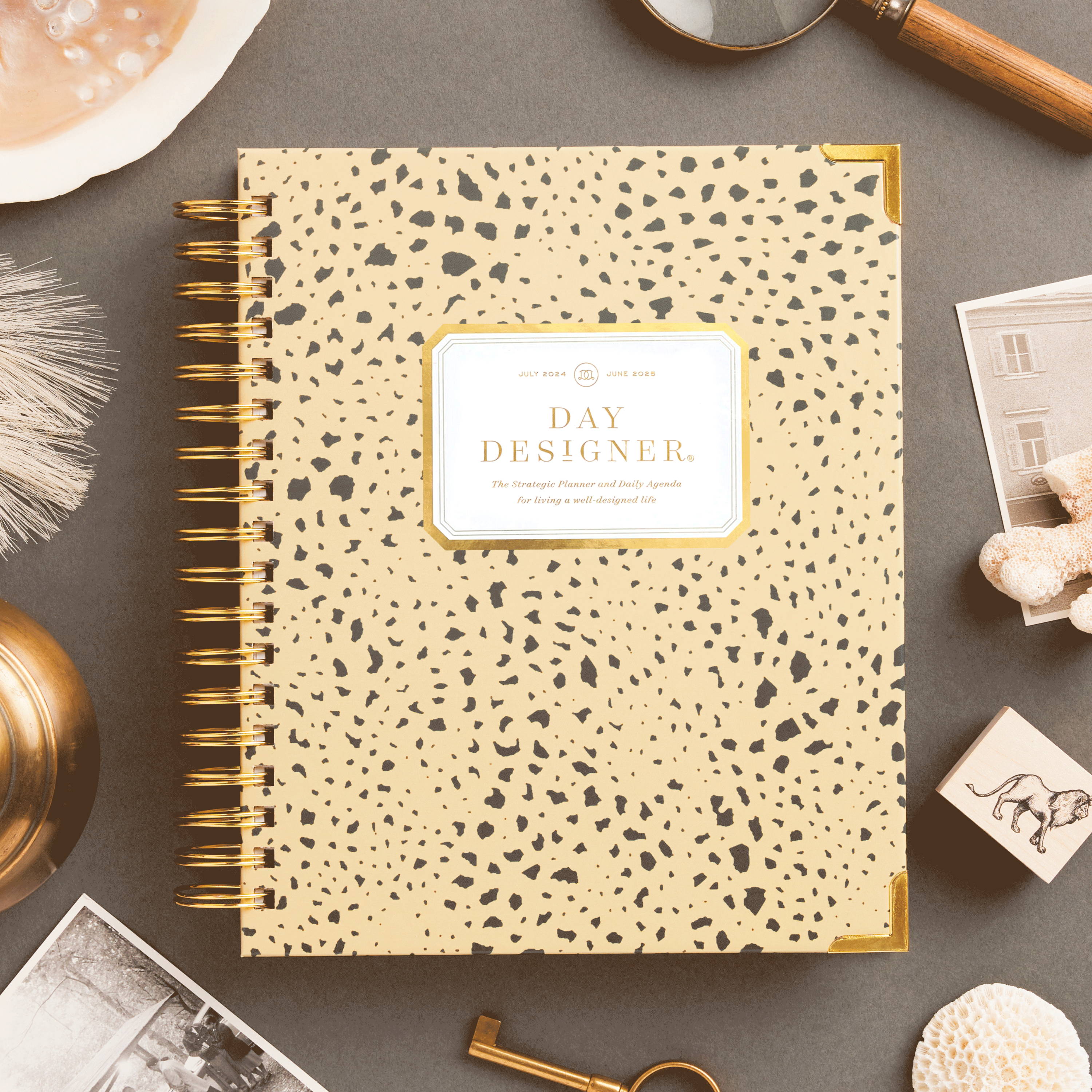 leopard print closed book planner on an espresso background, with magnifying glass, dish, old photo, skeleton key, lion stamp, sea coral 