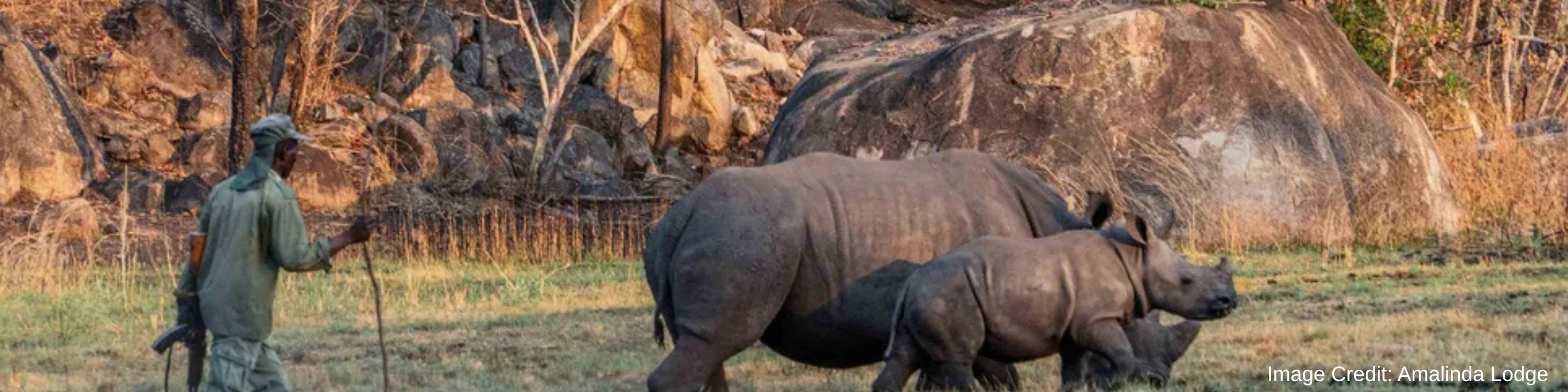 Matapos National Park - Rhino