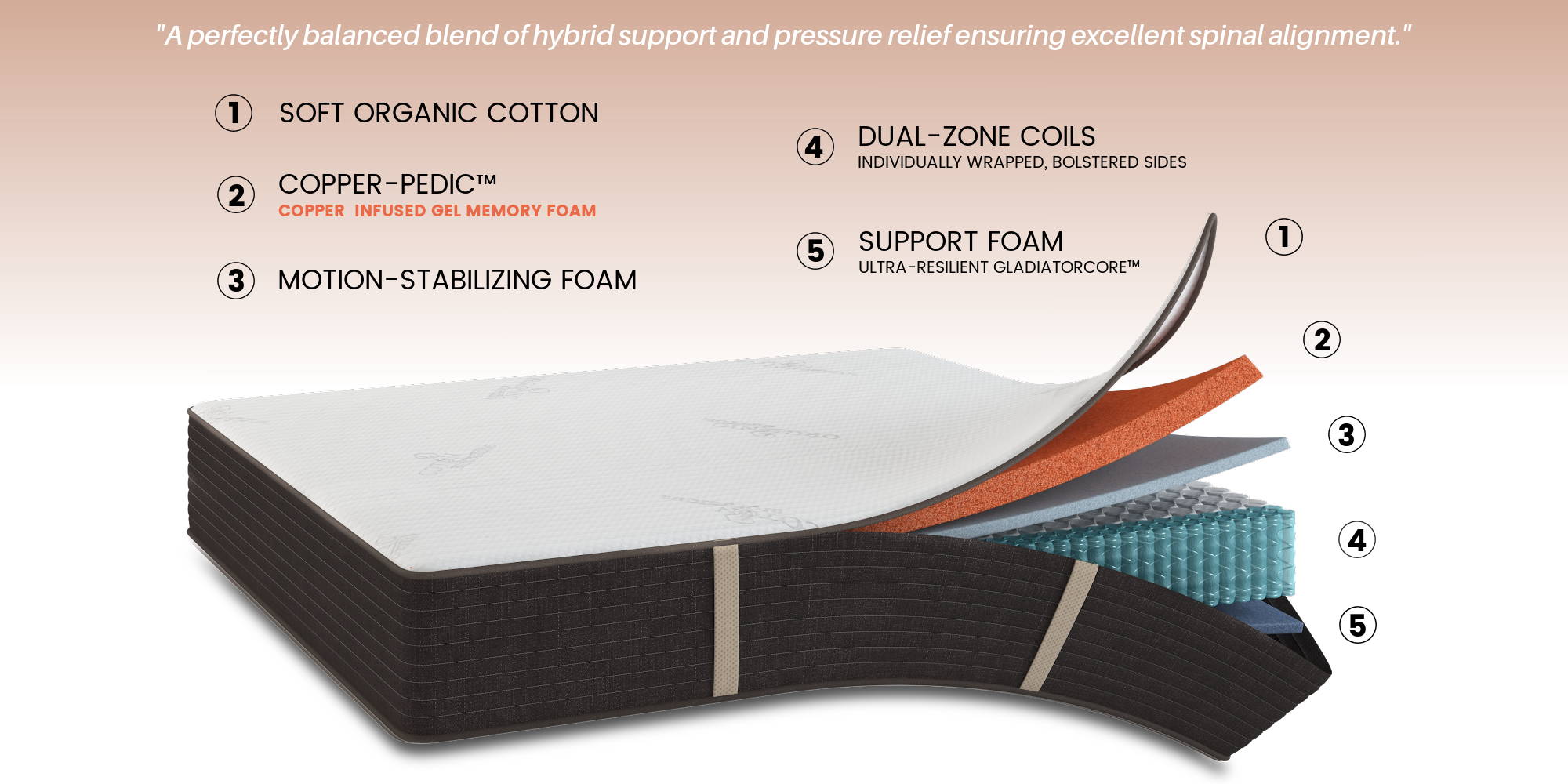 Open mattress with layers showing: soft organic cotton fabric, copper-infused cooling memory foam, motion stabilizing foam, dual-zone coils with bolstered sides, support foam made from plant-based GladiatorCore foam.