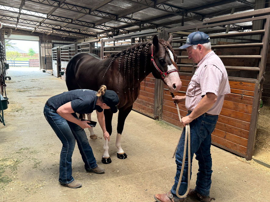 Two people tending to a horse in a barn.