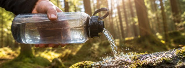 A person pouring water from a bottle onto forest ground.