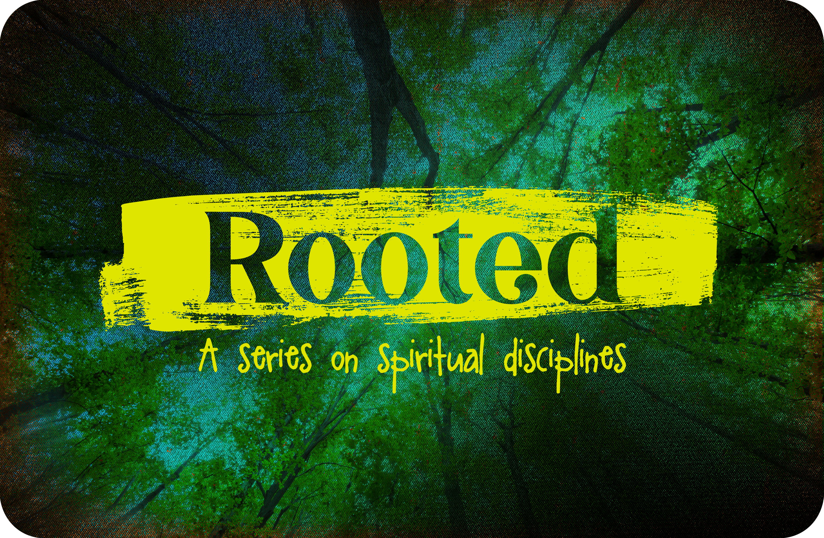 Rooter - Teaching Series