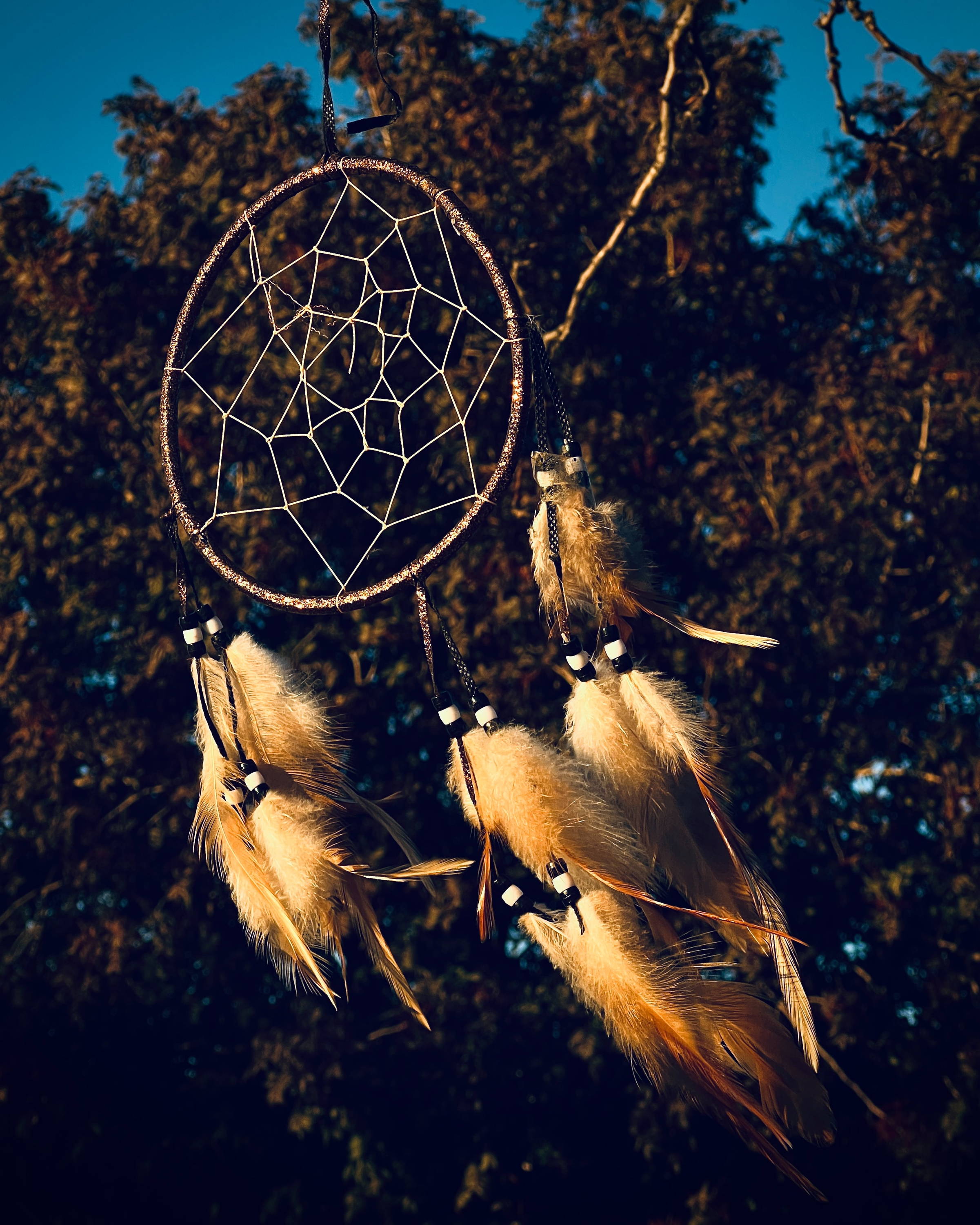 Are dream catchers cultural appropriation? – Tribal Trade